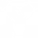 Hands